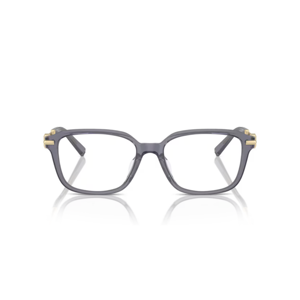 Tiffany - TF2253D