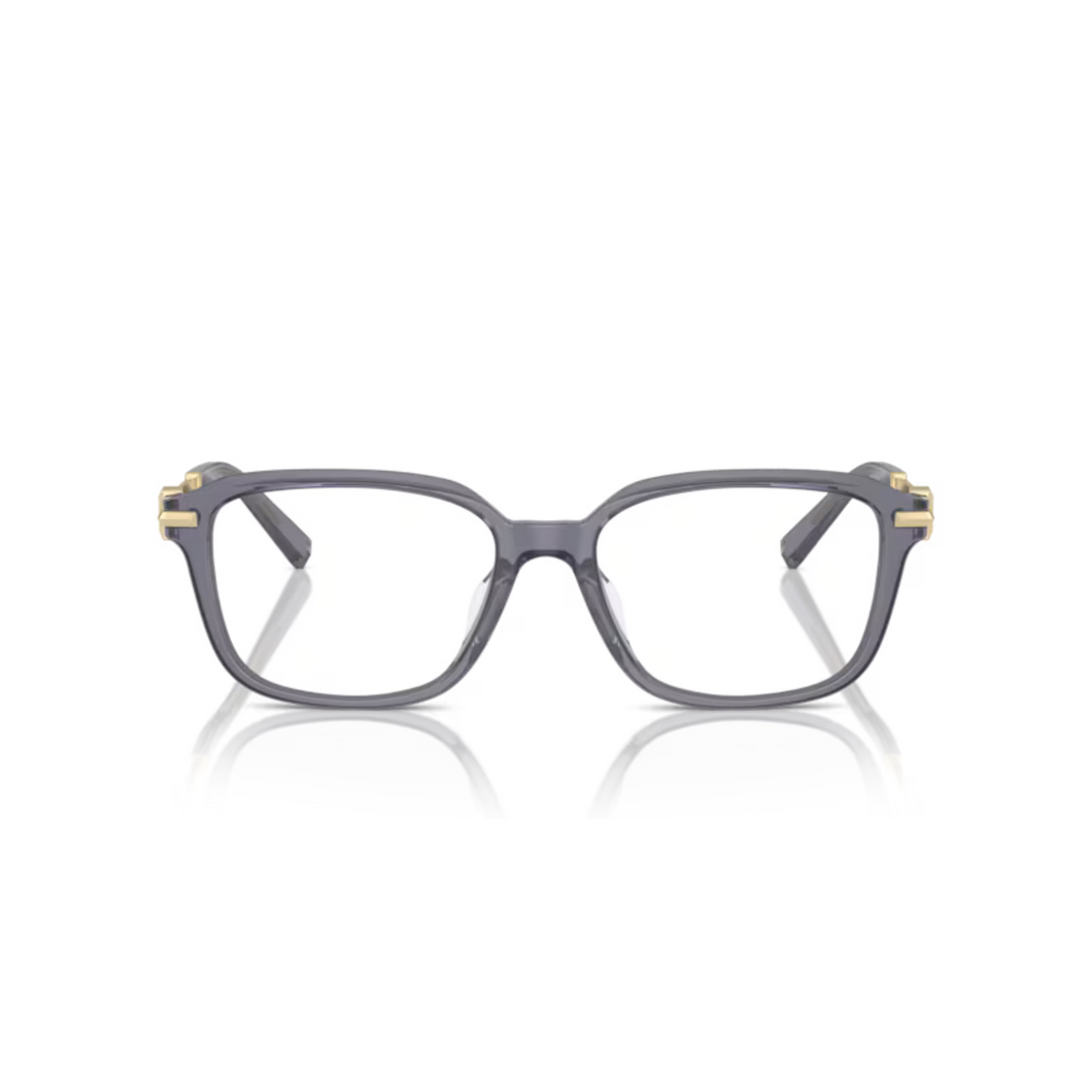 Tiffany - TF2253D