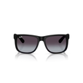 Ray-Ban - RB4165