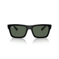 Ray-Ban - RB4396