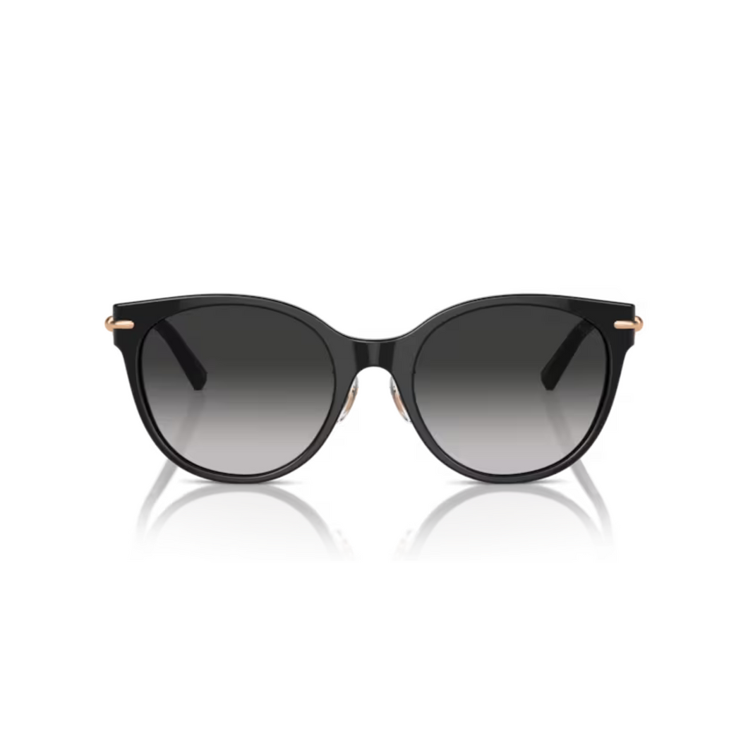 TIFFANY - TF4223D