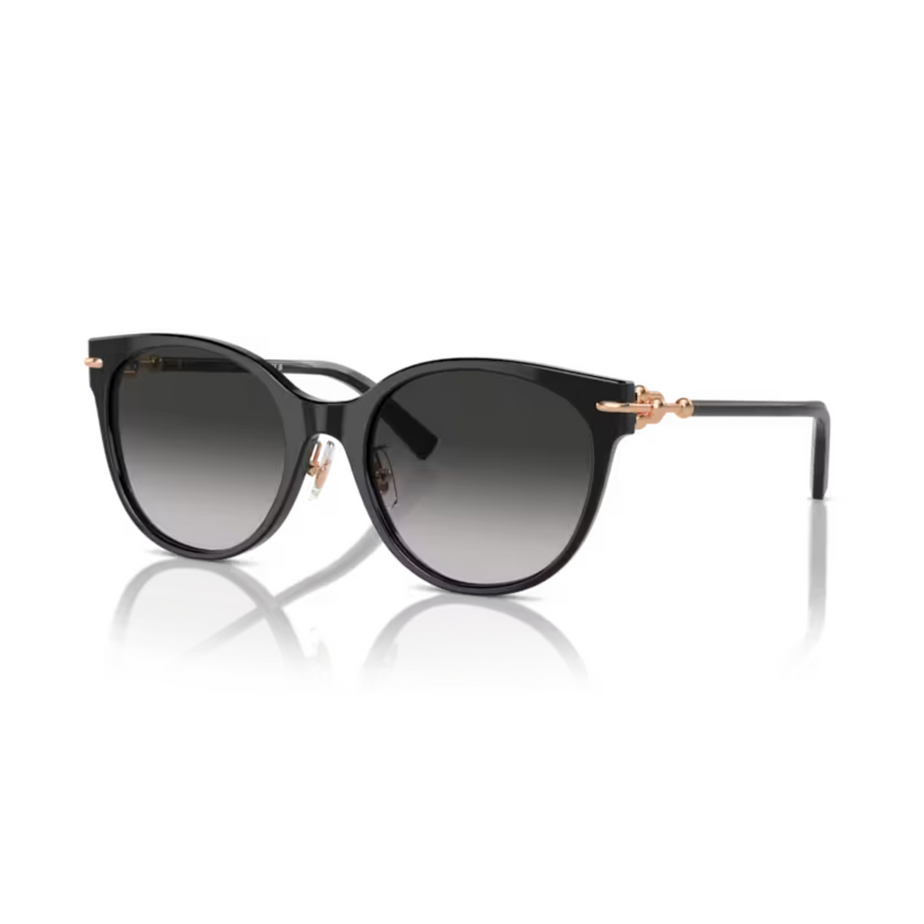 TIFFANY - TF4223D