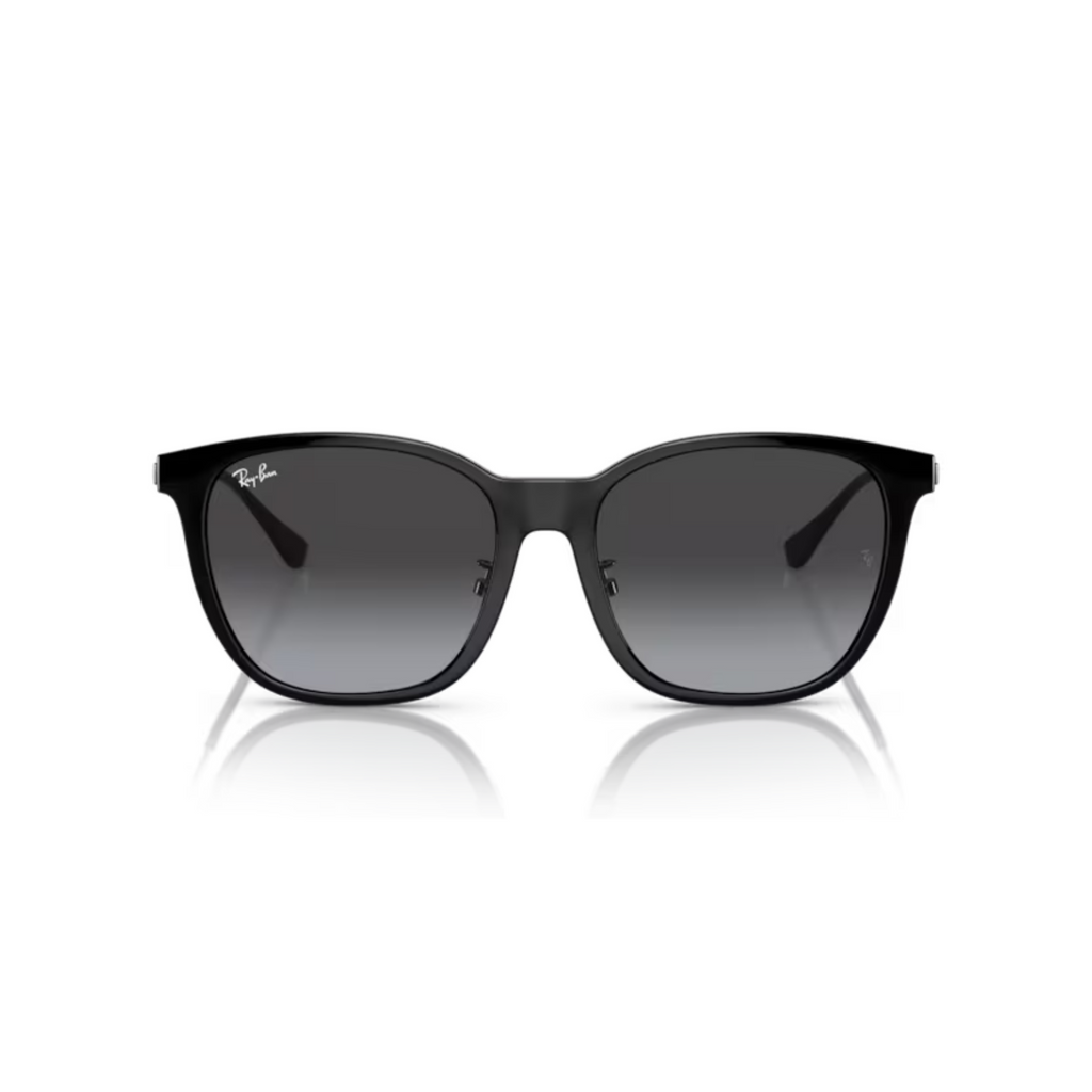 Ray-Ban - RB4333D