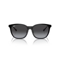 Ray-Ban - RB4333D